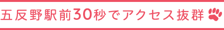 五反野駅前30秒でアクセス抜群