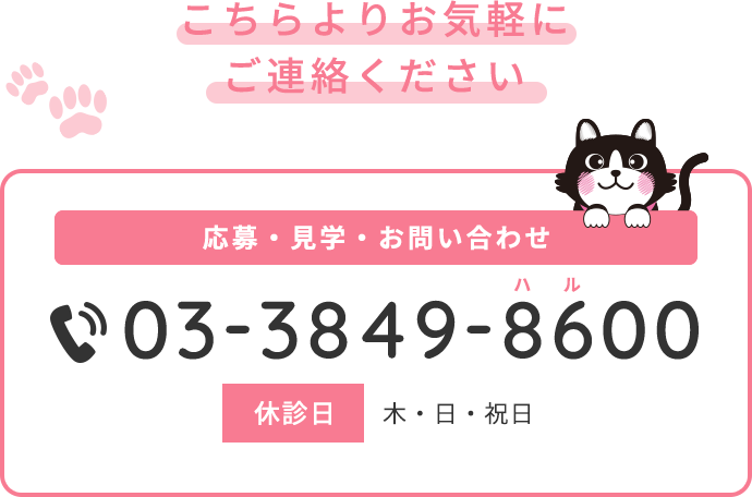 こちらよりお気軽にご連絡ください 応募・お問い合わせ 03-3849-8600